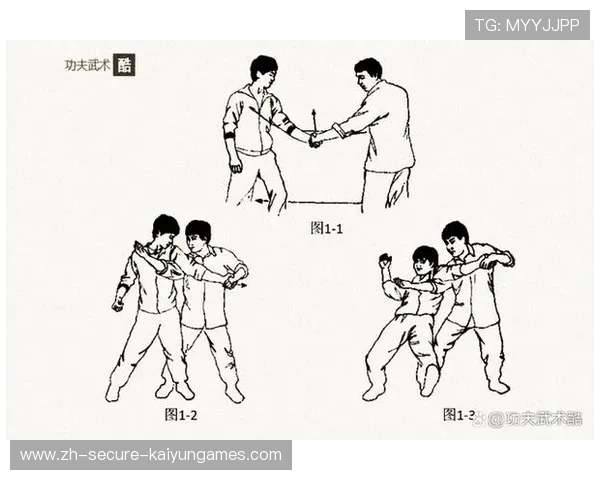 UFC柔道摔法与反制学习课——掌握终极摔技，碾压对手的秘密武器